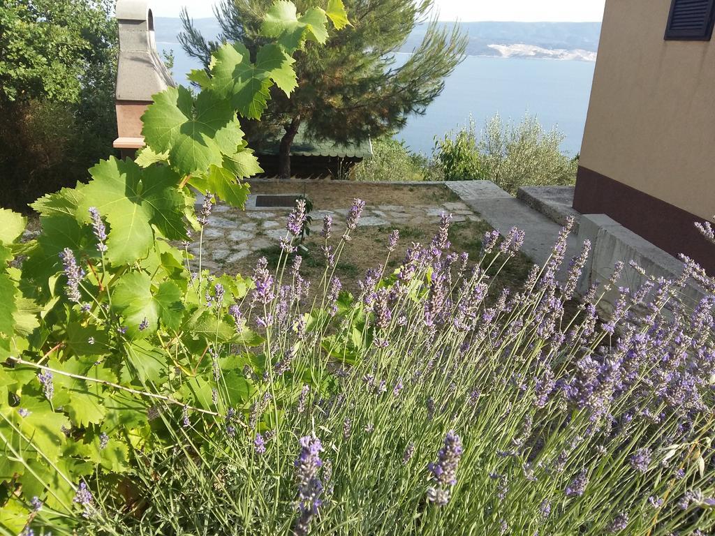 Charismatic Garden Cottage With Sea View 洛克瓦罗戈兹尼察 外观 照片