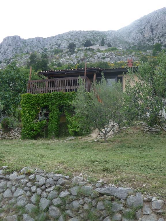 Charismatic Garden Cottage With Sea View 洛克瓦罗戈兹尼察 外观 照片