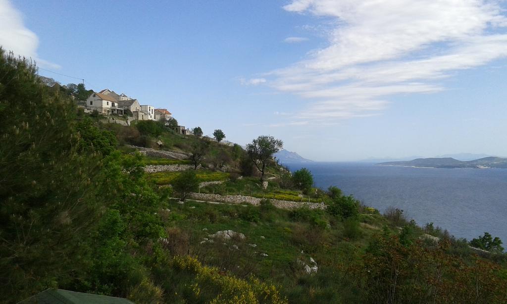 Charismatic Garden Cottage With Sea View 洛克瓦罗戈兹尼察 外观 照片